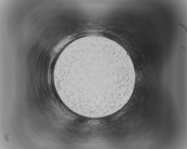 X0000103500294200810241131