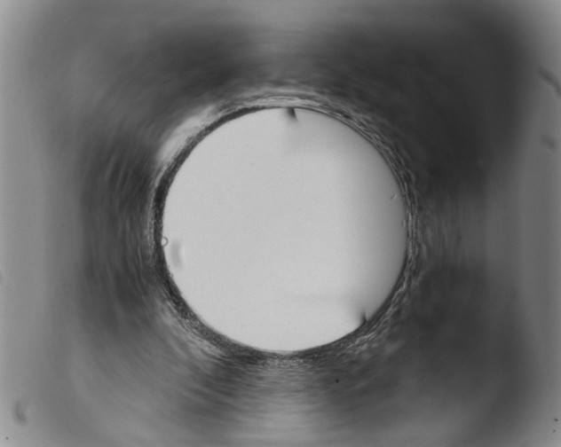 X0000103500296200810241131