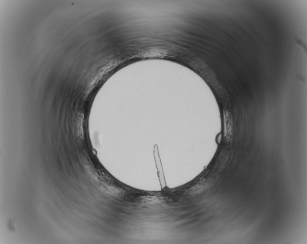 X0000103500300200810241131