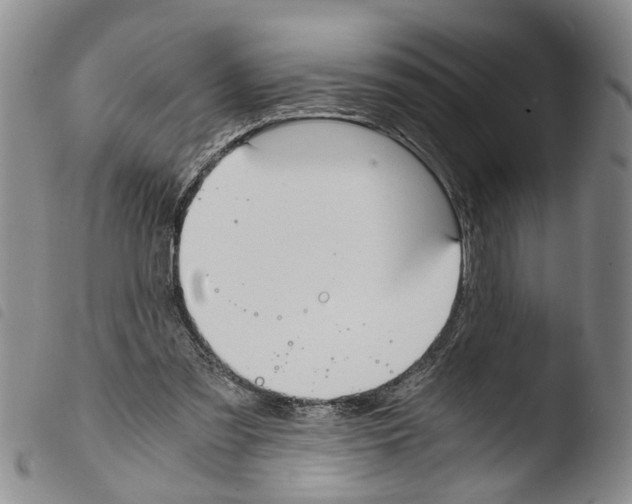 X0000103500301200810241131