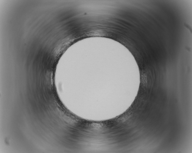 X0000103500302200810241131