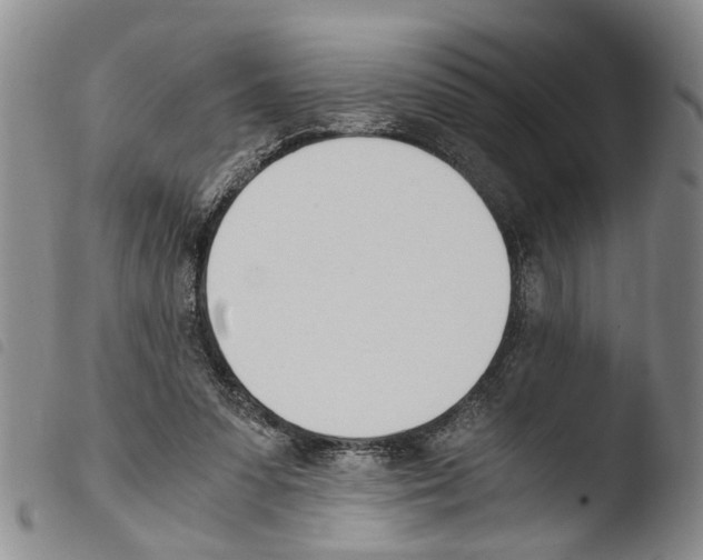 X0000103500303200810241131