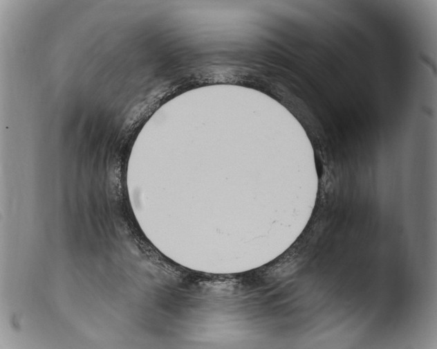 X0000103500306200810241131