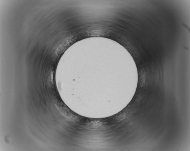 X0000103500310200810241131