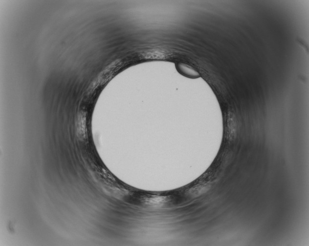 X0000103500312200810241131