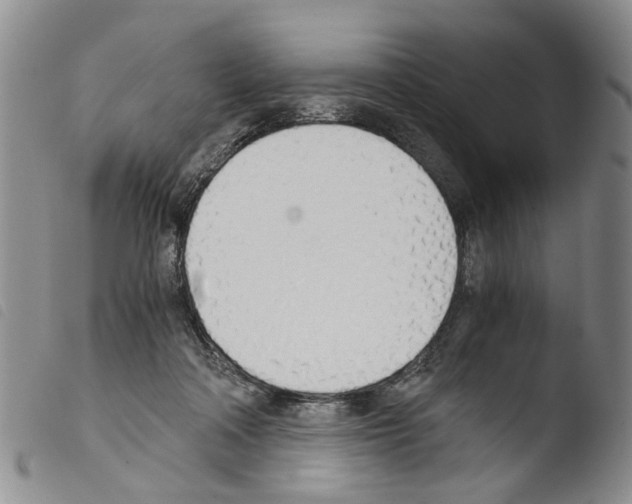 X0000103500314200810241131