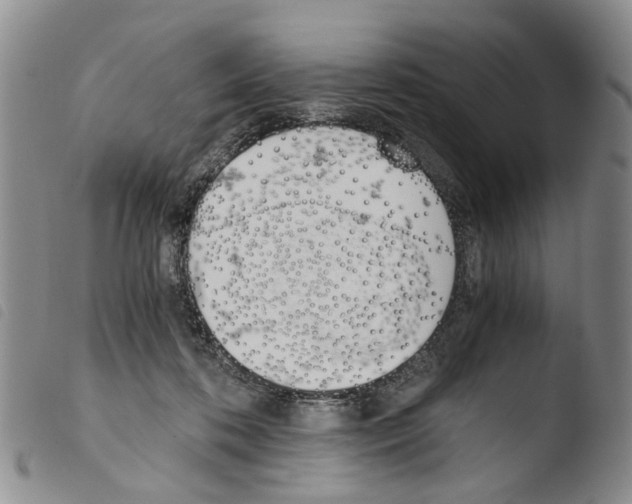 X0000103500316200810241131