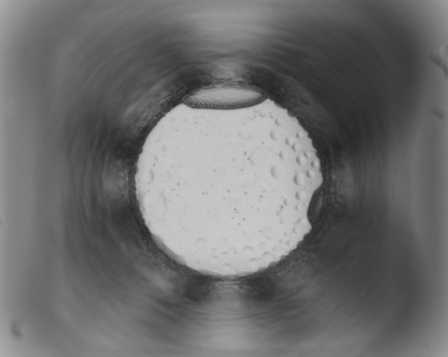 X0000103500320200810241131