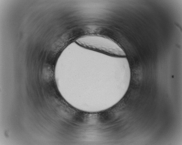 X0000103500324200810241131