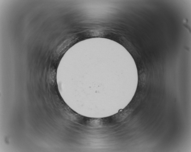 X0000103500325200810241130