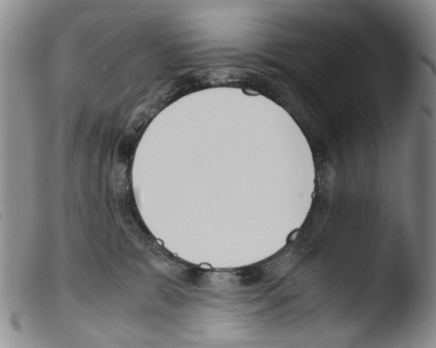 X0000103500327200810241130