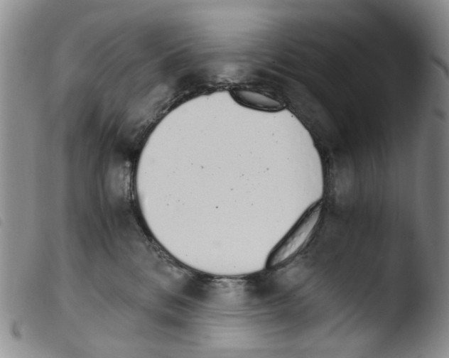 X0000103500328200810241130