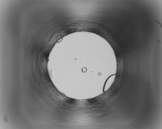 X0000103500333200810241130