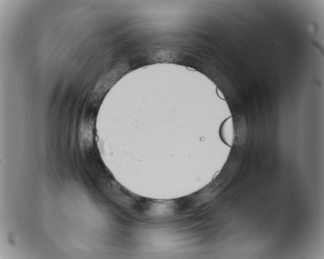 X0000103500334200810241130