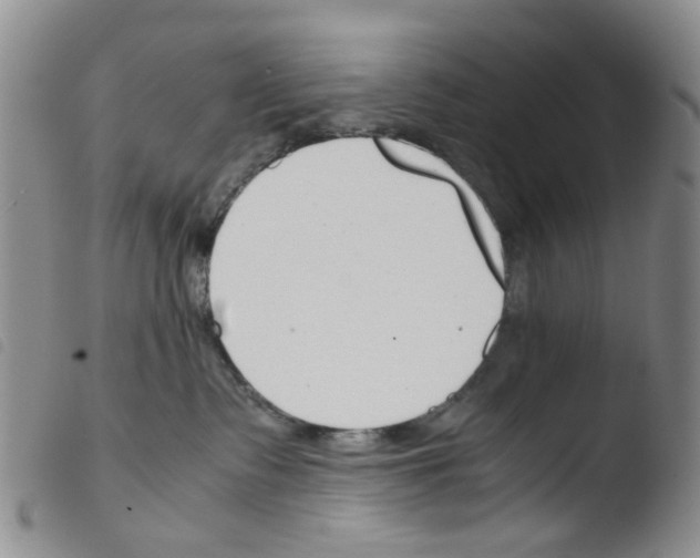 X0000103500335200810241130