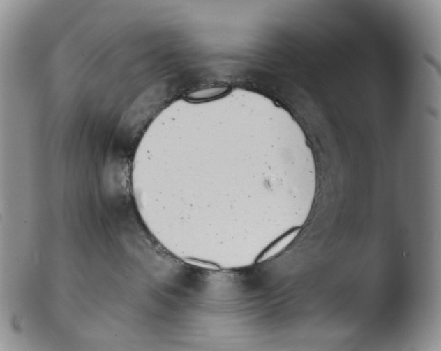 X0000103500336200810241130