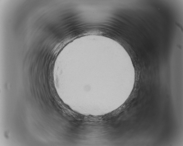 X0000103500337200810241130