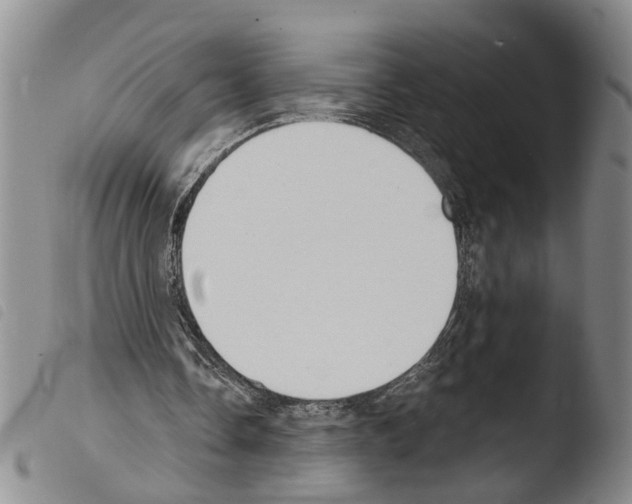 X0000103500338200810241130