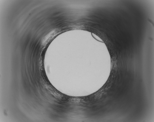 X0000103500339200810241130