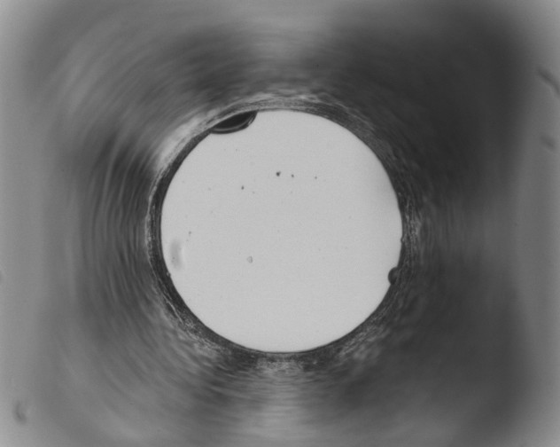 X0000103500340200810241130