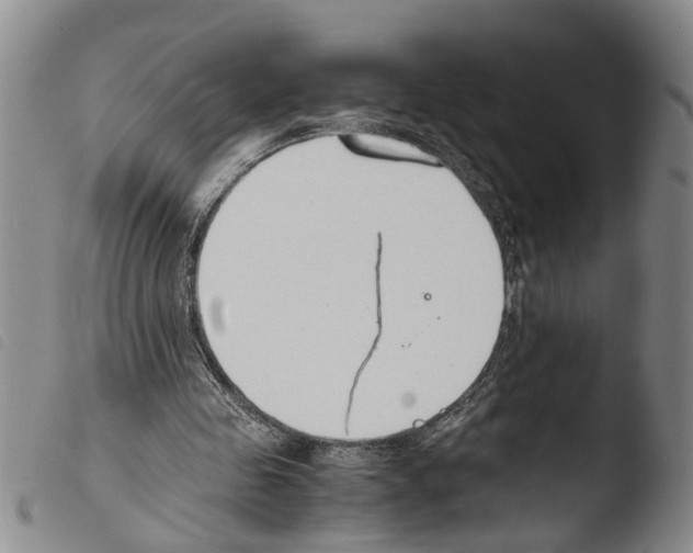 X0000103500341200810241130