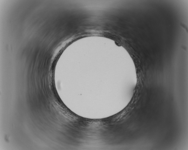 X0000103500342200810241130