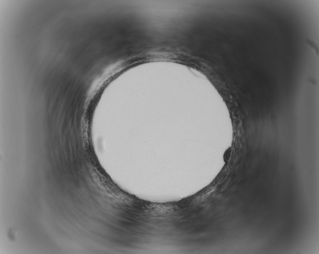 X0000103500343200810241130