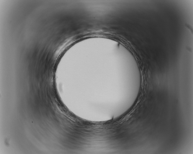 X0000103500344200810241130