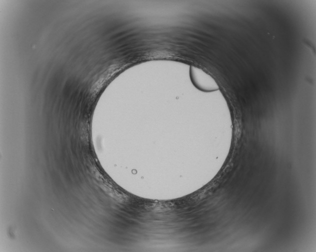 X0000103500345200810241130