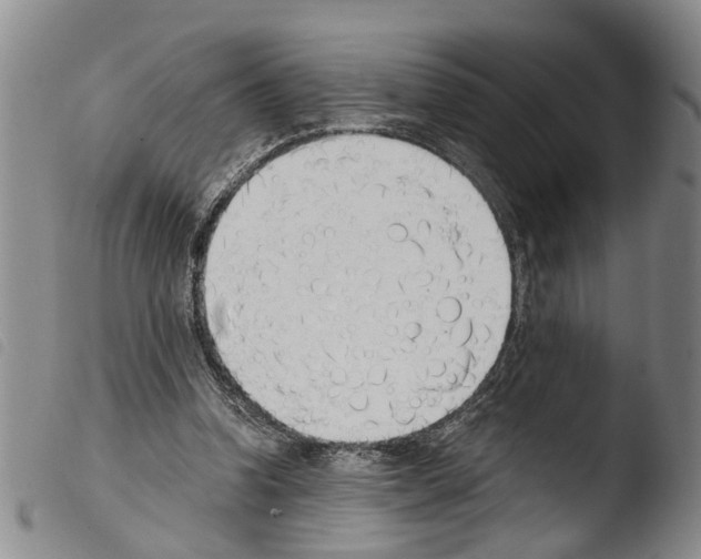 X0000103500346200810241130