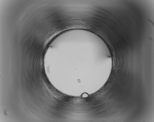 X0000103500348200810241130