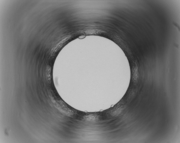 X0000103500356200810241130