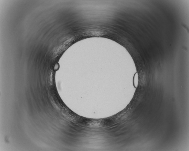 X0000103500358200810241130