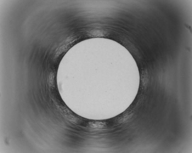 X0000103500359200810241130