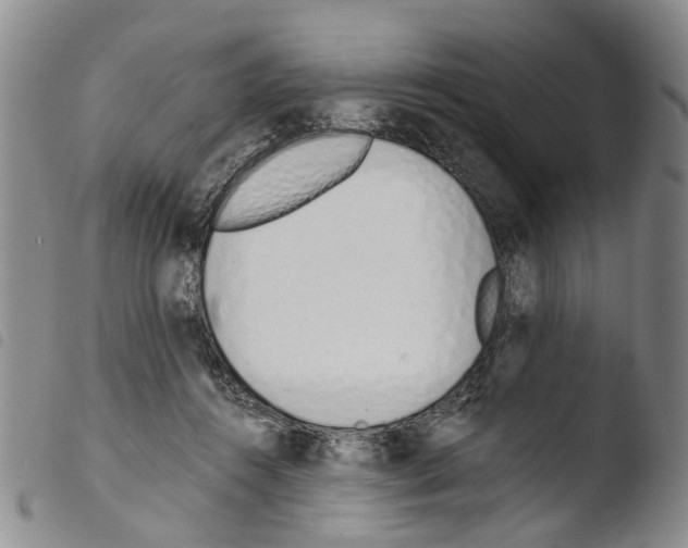 X0000103500360200810241130