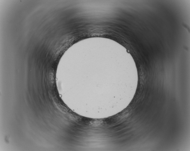 X0000103500362200810241130