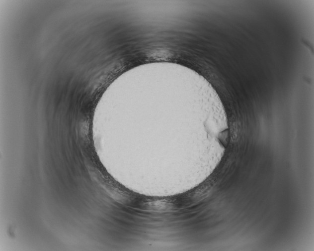 X0000103500365200810241130