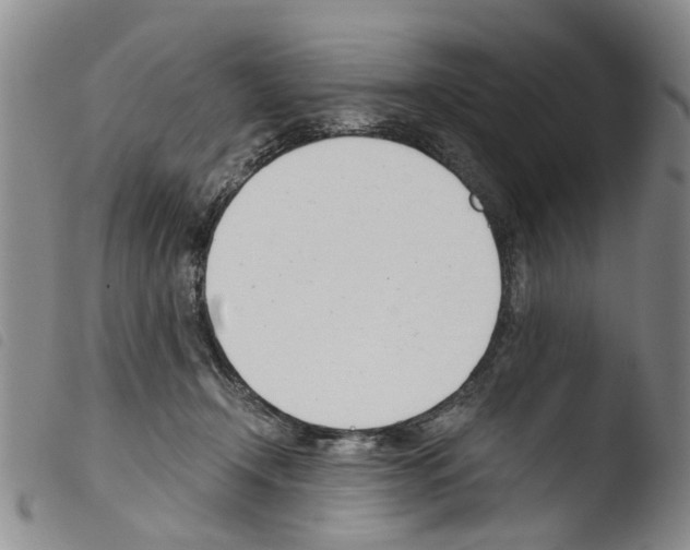 X0000103500366200810241130