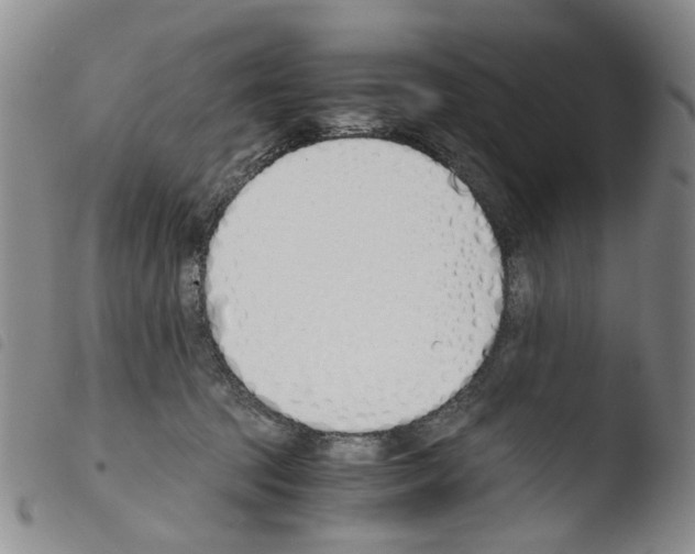 X0000103500369200810241130