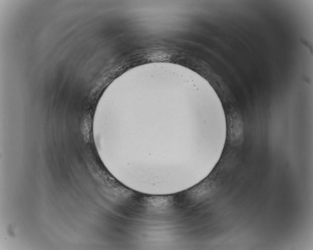 X0000103500370200810241130