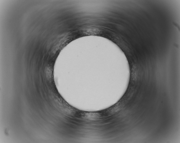 X0000103500371200810241130