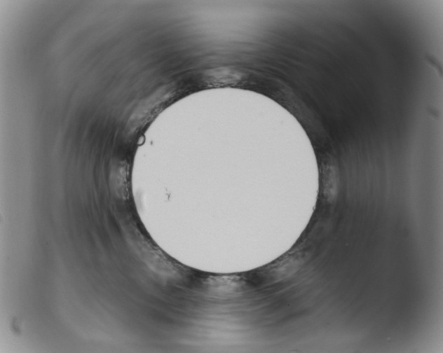 X0000103500378200810241130