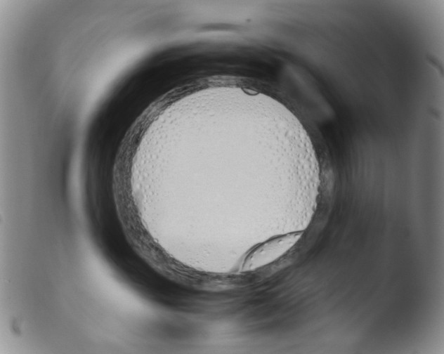 X0000103500381200810241130