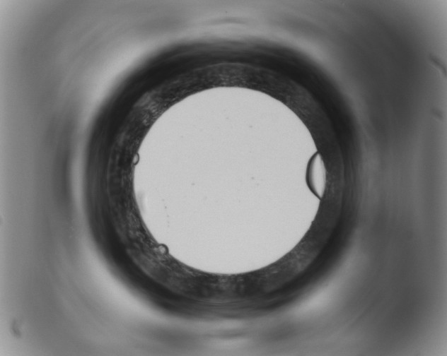 X0000103500383200810241130