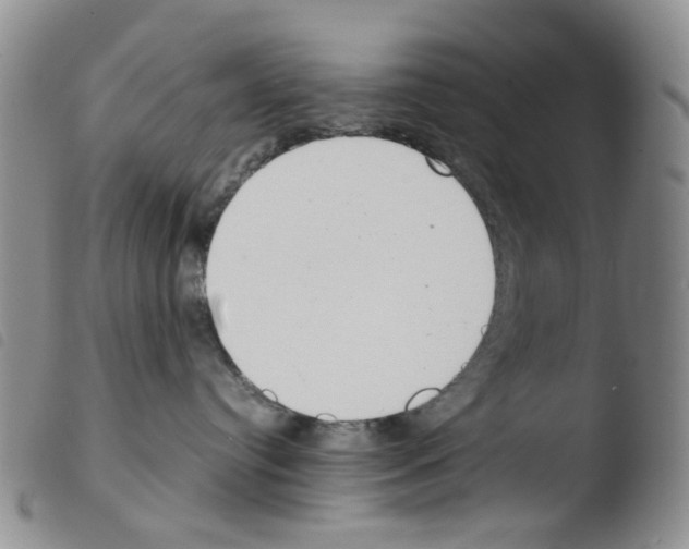 X0000103500384200810241130