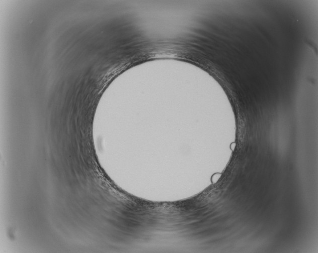 X0000103500385200810241130