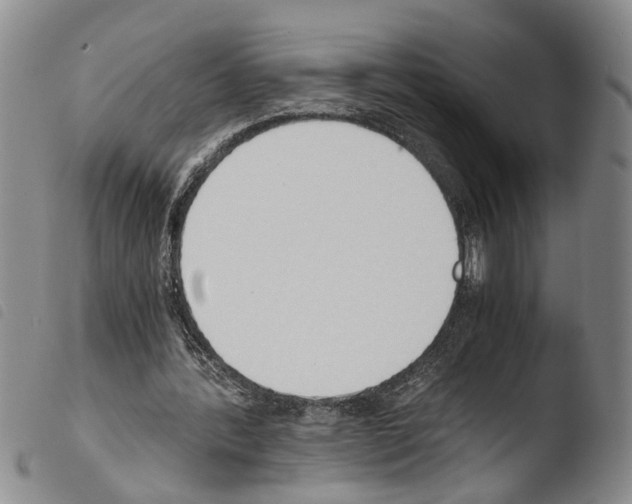 X0000103500388200810241130