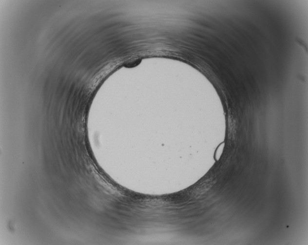 X0000103500389200810241130