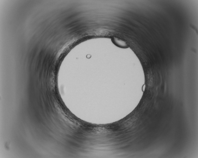 X0000103500392200810241130