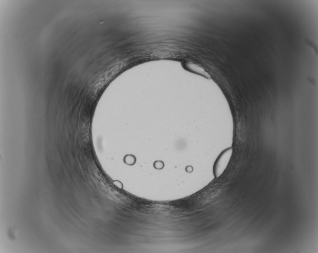 X0000103500393200810241130